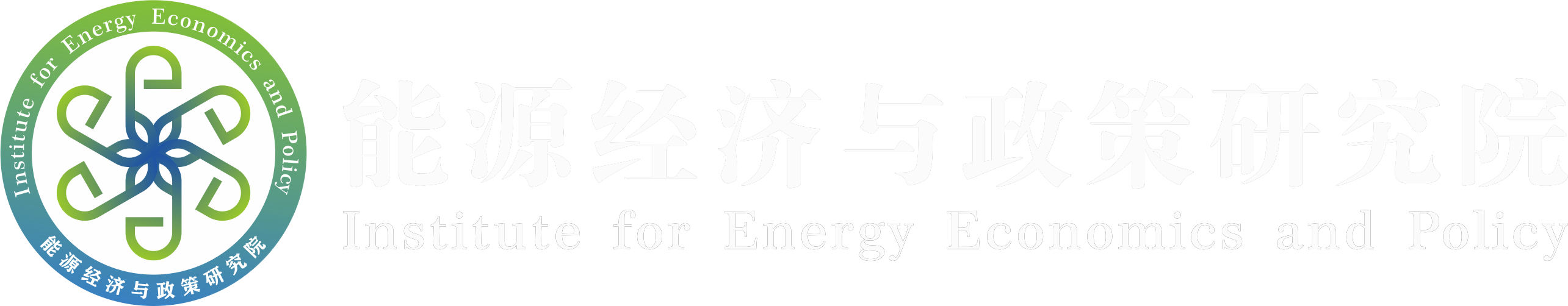 能源经济与政策研究院