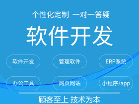 智能建站,软件开发记,顶尖SEO