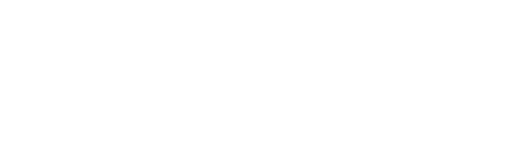 上海新数网络科技股份有限公司