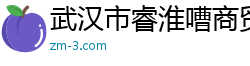 武汉市睿淮嘈商贸有限公司