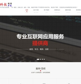 仰天科技｜个人及企业软件定制开发｜数字化转型解决方案与行业创新服务