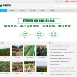 小龙柏,龙柏苗,龙柏床苗,嫁接小龙柏,龙柏树,龙柏球,龙柏工程苗