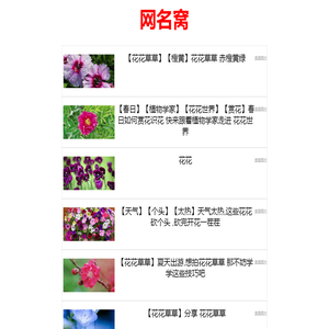 网名窝