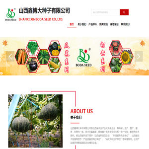山西鑫博大种子有限公司,打籽南瓜西葫芦种子