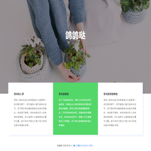 格子安卓网