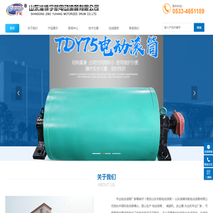 微型电动滚筒