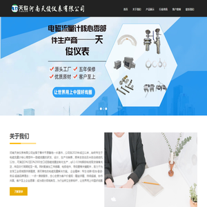 河南天俊仪表有限公司