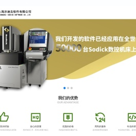 上海沙迪克软件有限公司